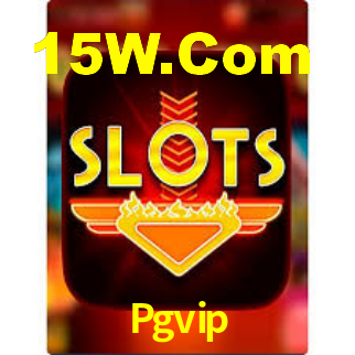 Interface do App Pgvip